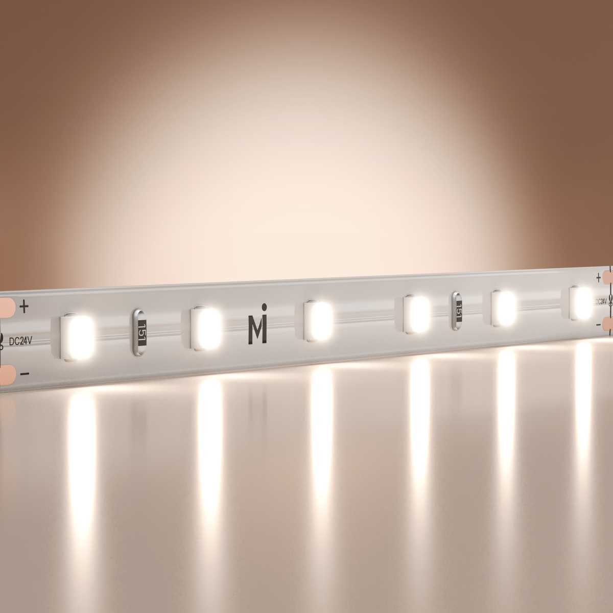 Светодиодная лента Maytoni Led Strip 5м 201179