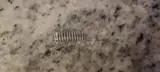 Brother lm3546001 - SEPARATION PAD SPRING