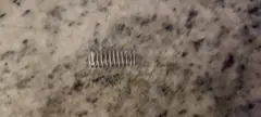 Brother lm3546001 - SEPARATION PAD SPRING
