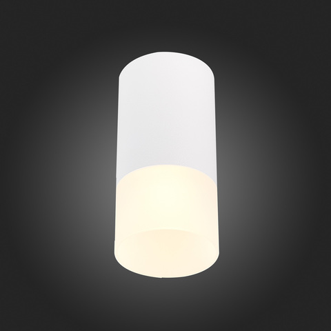 Светильник потолочный ST Luce ST100.512.01