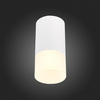 Светильник потолочный ST Luce ST100.512.01