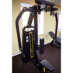 Баттерфляй - задние дельты (Pearl Delt/Pec Fly) DHZ E-3007. Стек 109 кг