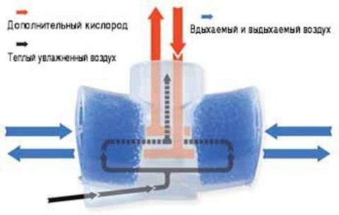 Фильтр с пенным (синим) фильтрующим элементом Flexicare