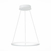 Светильник подвесной ST Luce ST603.543.22