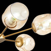 Люстра потолочная Evoluce Pallo SLE155412-06