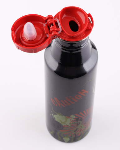 Фляжка из нержавеющей стали THERMOS Roho IS4560TD6, 700 ml