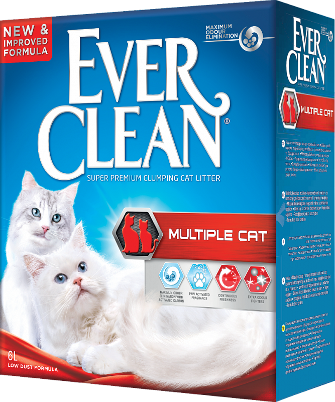 Clean cat