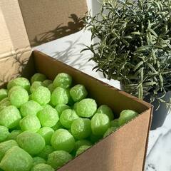 Эко-наполнитель Корнпак, цвет зелёное яблоко, 60 л