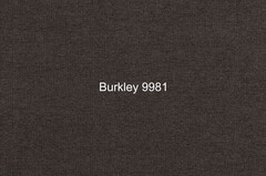 Шенилл Burkley (Баркли) 9981