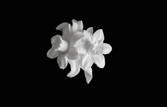 Силиконовый молд 