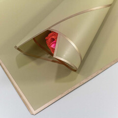 
          Пленка В листах 20 шт 58 х 58 см с золотым краем (Бежевый, Серый)