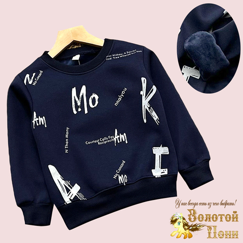 Толстовка на меху м (3-7) 240826-GF1422