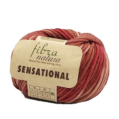 Пряжа Fibra Natura Sensational (40852)