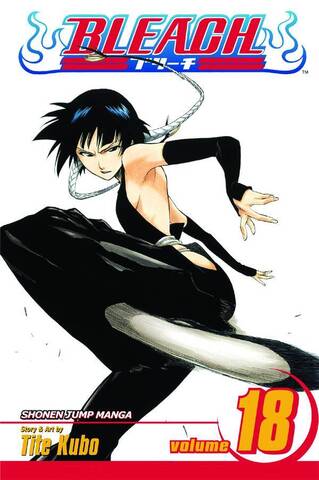 Bleach. Vol. 18 (На английском языке)