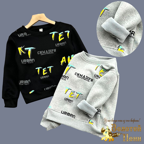 Толстовка на меху м (3-7) 240826-GF1412