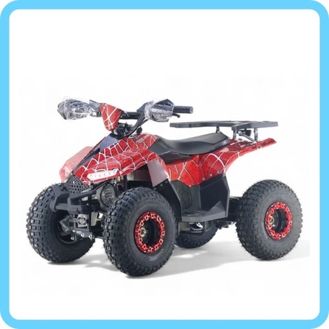 Детский электрический квадроцикл RiverToys LEON 1200W