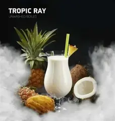 Dark side 250г. CORE TROPIC RAY (М)