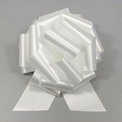 
          Бант Для Упаковки Подарка Большой 10 См (Белый)