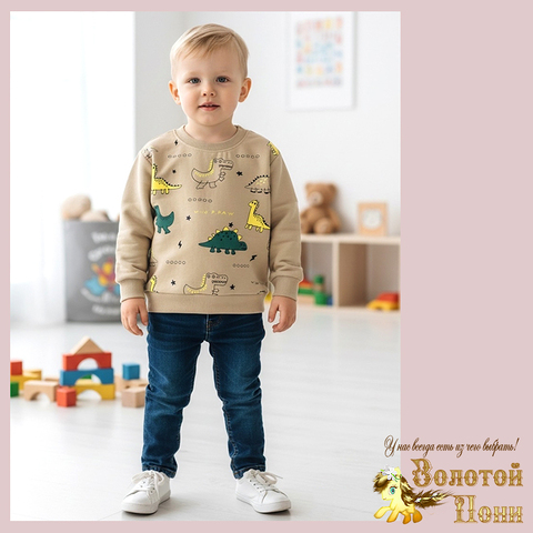 Свитшот трикотаж м (74-98) 251205-Y5119