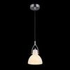 Подвесной светильник Maytoni Daniel MOD407-PL-01-N