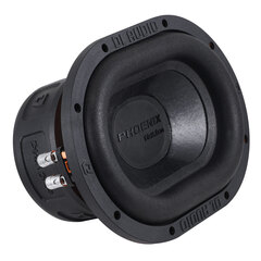 DL Audio Phoenix Black Bass 69 | Сабвуфер 6х9" (15х23 см.)