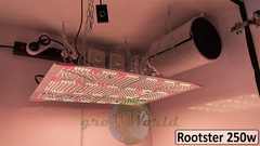 В180хД80хШ60 ГроуБокс FLASHER 200W или Rootster Board 250W LED SUPERSILENT