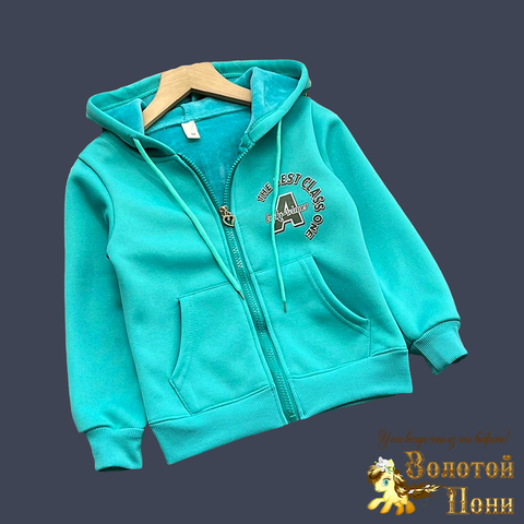 Толстовка на меху д (5-9) 240826-GF1396