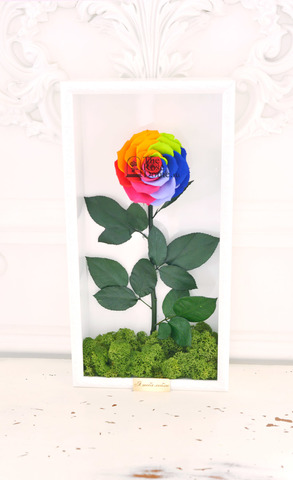 Стабилизированная роза кинг в картине радуга