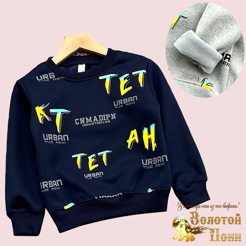 Толстовка на меху м (3-7) 240826-GF1413