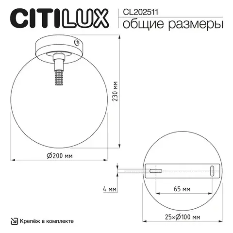 Потолочный светильник Citilux Orton CL202511