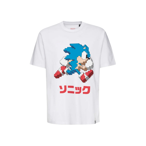 RE:COVERED X SEGA Sonic Print