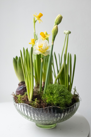 Композиция с первоцветами в вазе размер L