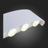 Светильник уличный ST Luce Bisello SL089.501.08