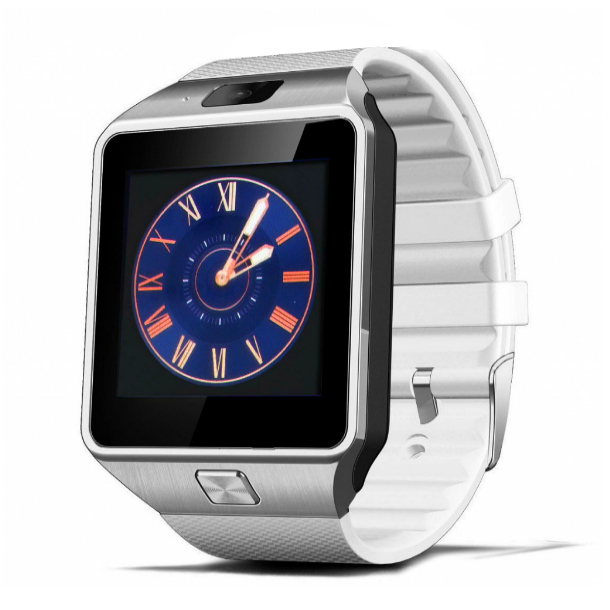 smart dz09