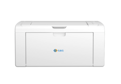 Принтер G&G P2022W
