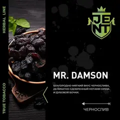 JENT 25гр. Mr Damson (Чернослив)