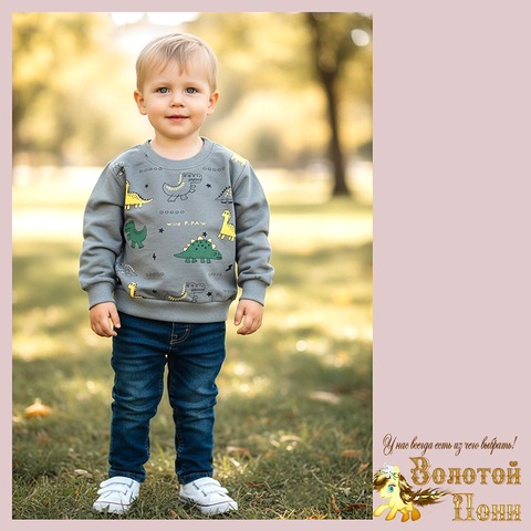 Свитшот трикотаж м (74-98) 251205-Y5120