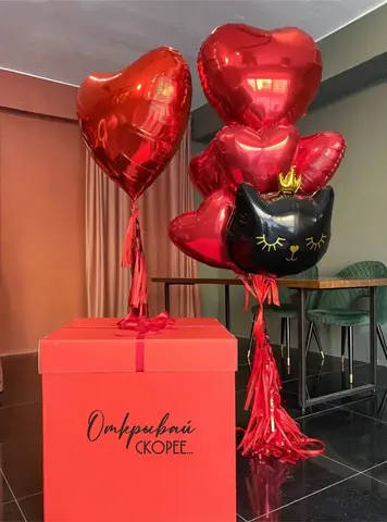 ШАРЫ К 14 ФЕВРАЛЯ №1