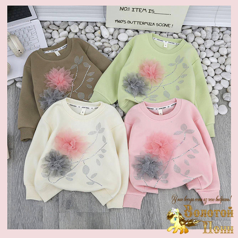 Свитшот трикотаж д (1-5) 260113-Q4088