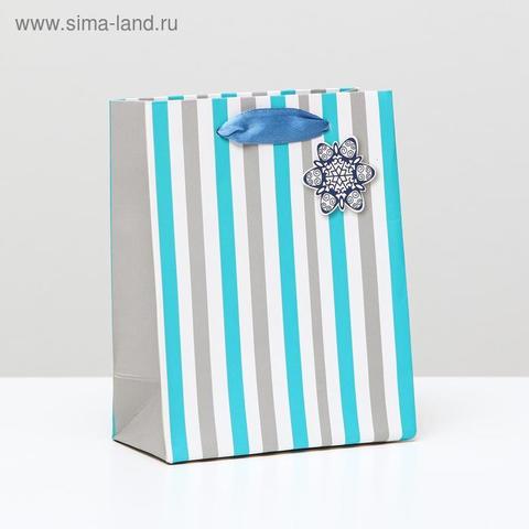 Пакет ламинированный 