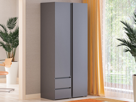 Шкаф 2-х дверный Шон-25