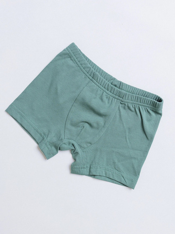 010_НБ24 Боксеры (трусы) д/м, хаки