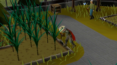 Old School RuneScape 1-Month Membership (для ПК, цифровой код доступа)