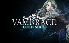 Vambrace: Cold Soul (для ПК, цифровой код доступа)