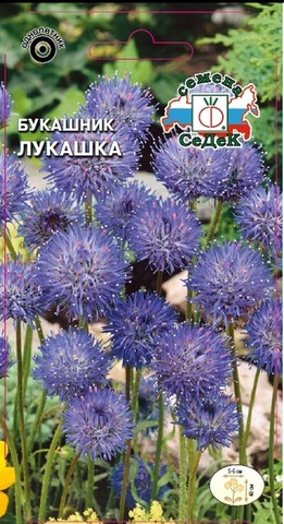 Семена Букашник Лукашка