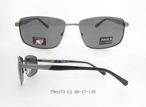 P94173