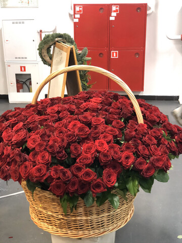 301 роза в корзине