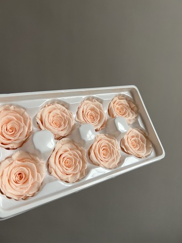 Роза классическая кремовая d=4-5 см