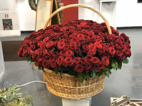 301 роза в корзине