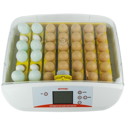 Автоматический инкубатор на 41 куриное яйцо 